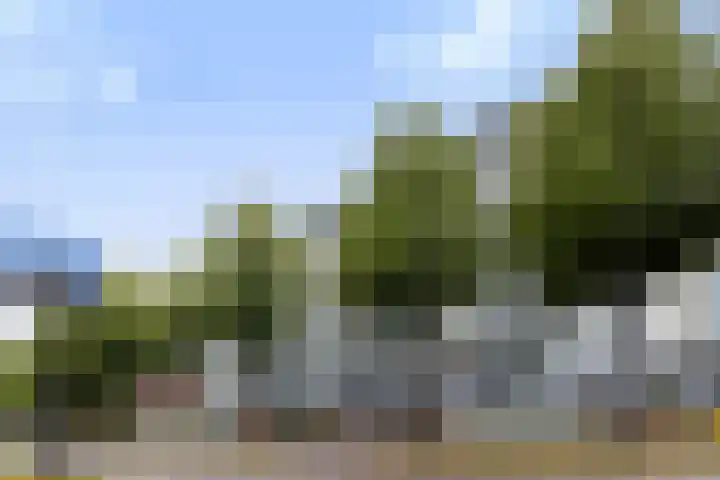 Loolaan 27 75 Apeldoorn thumbnail 30