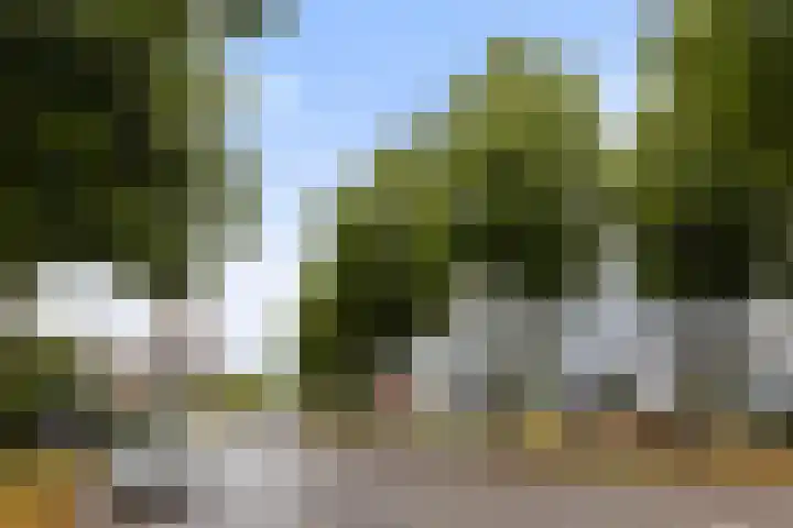 Loolaan 27 75 Apeldoorn thumbnail 31