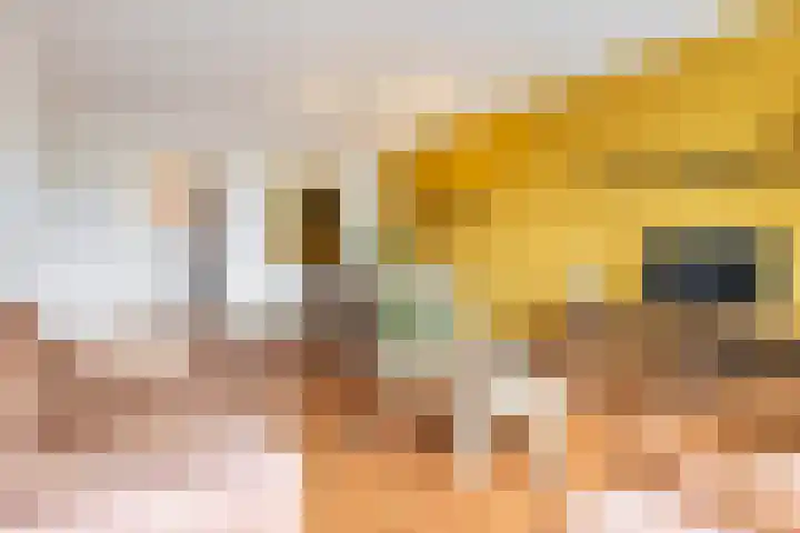 Loolaan 27 75 Apeldoorn thumbnail 7