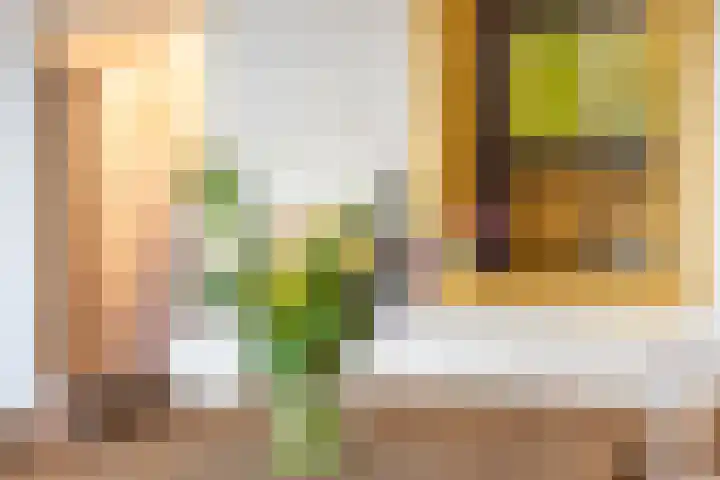 Loolaan 27 75 Apeldoorn thumbnail 9
