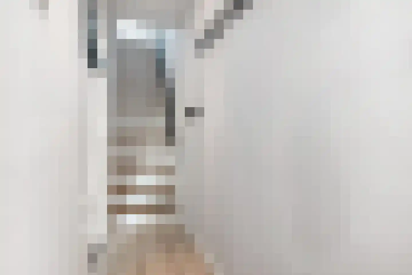Loolaan 34 Voorburg thumbnail 20