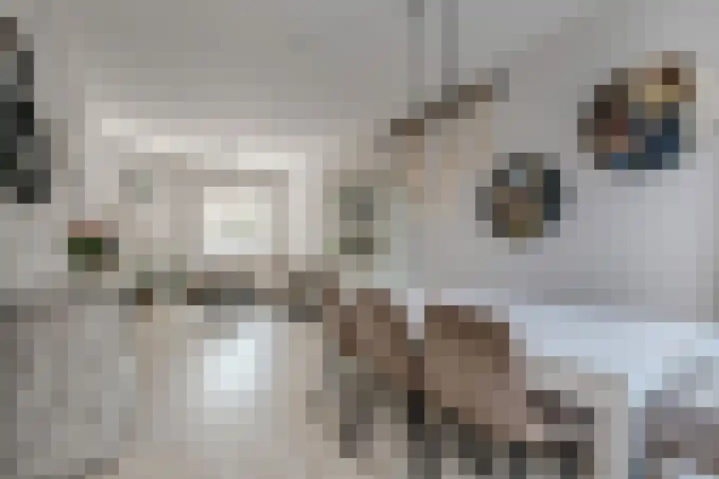 Loolaan 34 Voorburg thumbnail 7