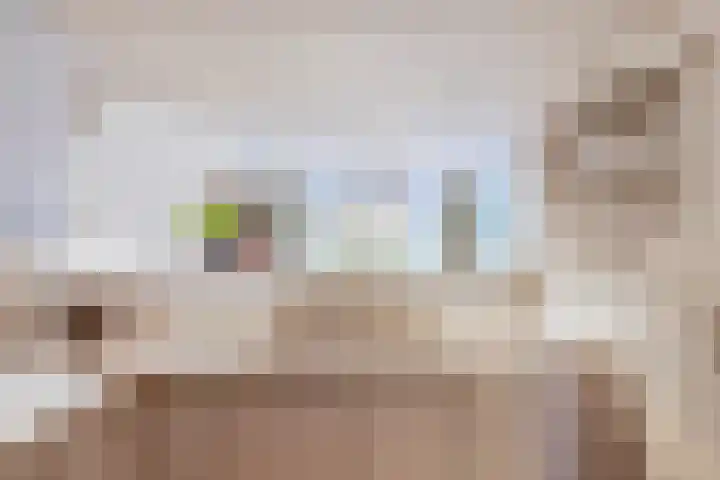 Loolaan 352 Apeldoorn thumbnail 11