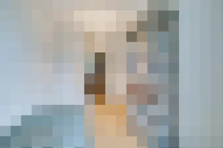 Loolaan 352 Apeldoorn thumbnail 15