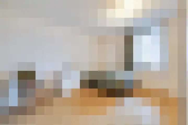 Loolaan 352 Apeldoorn thumbnail 17