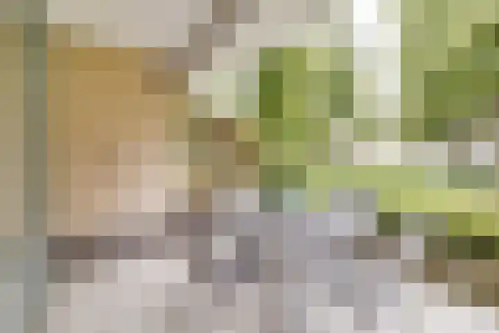 Loolaan 352 Apeldoorn thumbnail 22