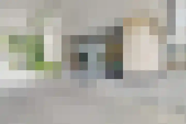 Loolaan 352 Apeldoorn thumbnail 24
