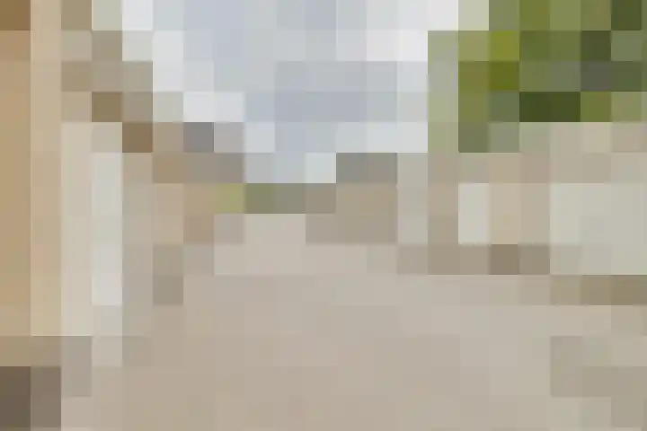 Loolaan 352 Apeldoorn thumbnail 25