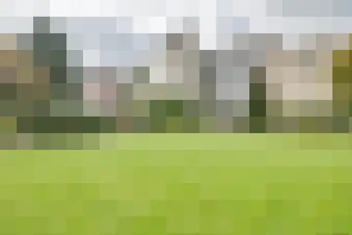Loolaan 352 Apeldoorn thumbnail 29