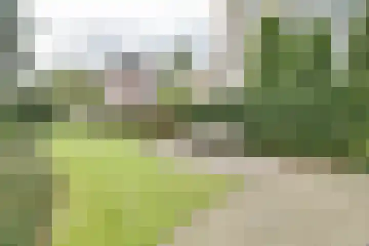 Loolaan 352 Apeldoorn thumbnail 30