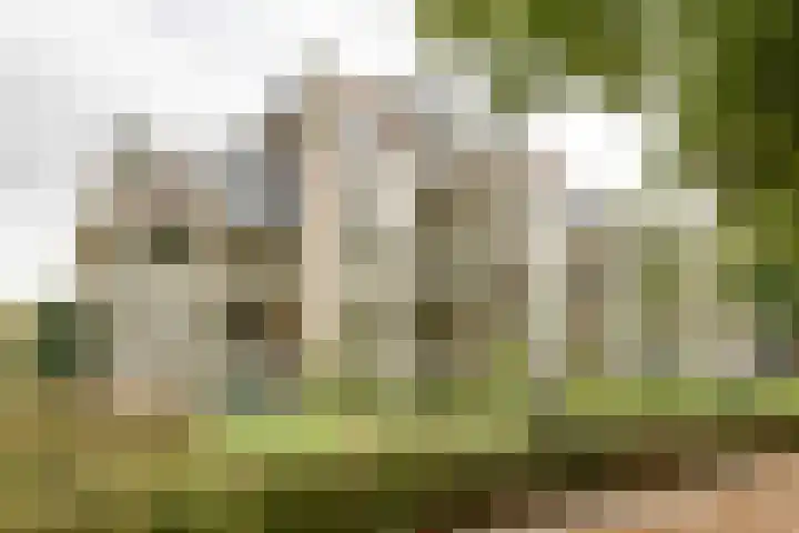 Loolaan 352 Apeldoorn thumbnail 31