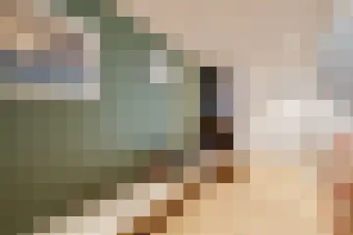 Loolaan 352 Apeldoorn thumbnail 6