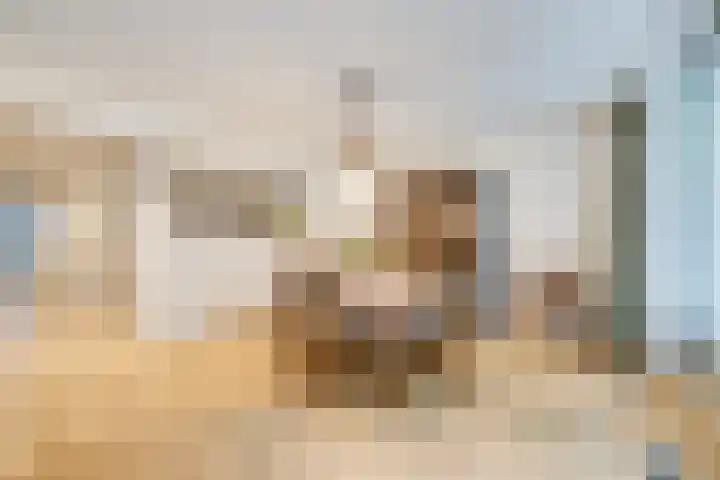 Loolaan 352 Apeldoorn thumbnail 8