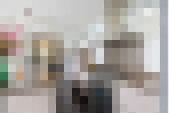 Loolaan 36 Doetinchem thumbnail 21