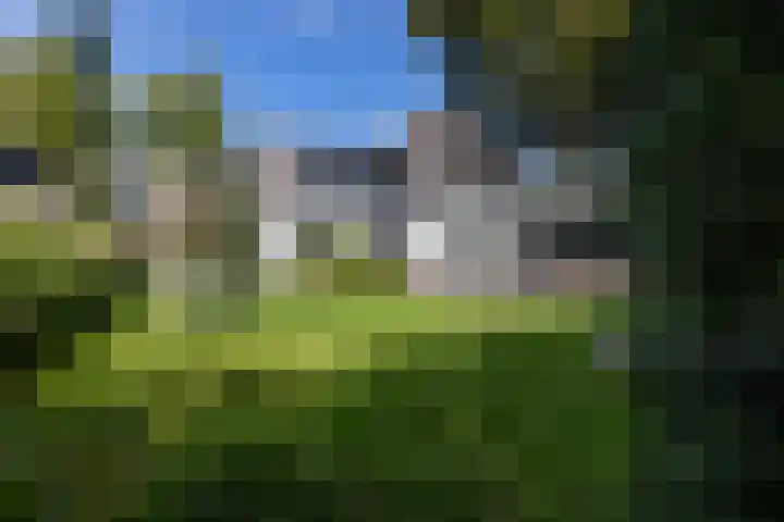 Loolaan 36 Doetinchem thumbnail 27