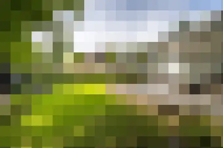 Loolaan 36 Doetinchem thumbnail 31
