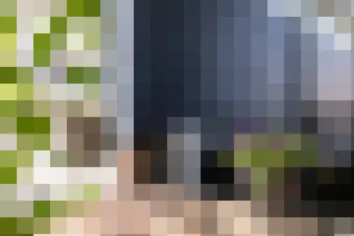 Loolaan 36 Doetinchem thumbnail 32