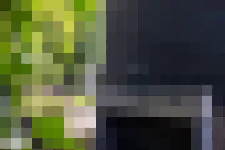Loolaan 36 Doetinchem thumbnail 33