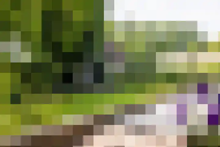 Loolaan 36 Doetinchem thumbnail 35