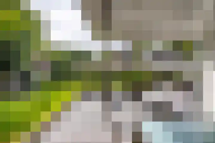 Loolaan 36 Doetinchem thumbnail 36