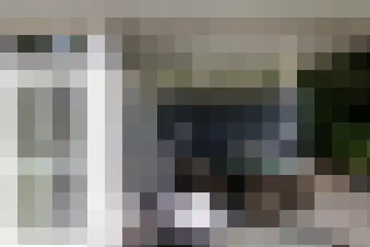 Loolaan 36 Doetinchem thumbnail 37