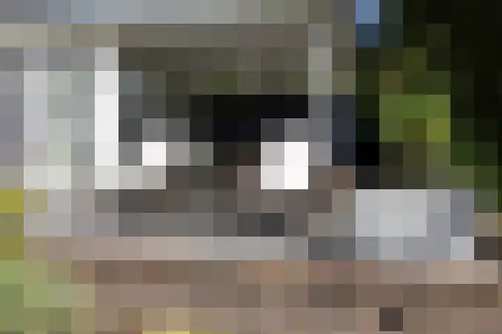 Loolaan 36 Doetinchem thumbnail 39