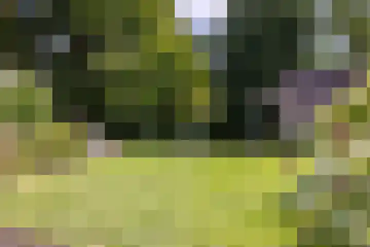 Loolaan 36 Doetinchem thumbnail 43