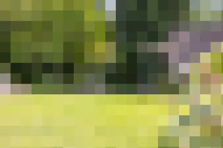 Loolaan 36 Doetinchem thumbnail 44