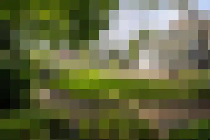Loolaan 36 Doetinchem thumbnail 50