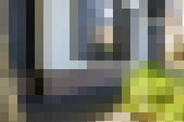 Loolaan 36 Doetinchem thumbnail 53