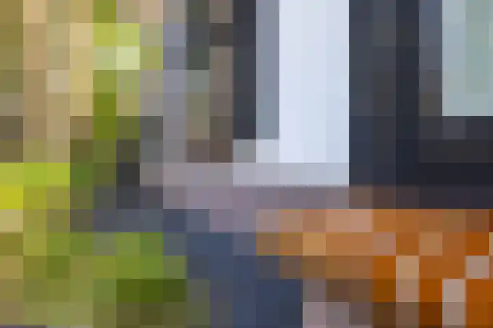 Loolaan 36 Doetinchem thumbnail 56