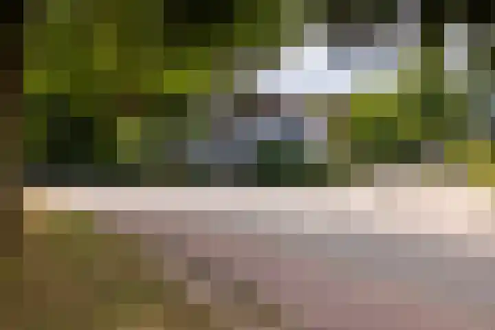 Loolaan 36 Doetinchem thumbnail 58