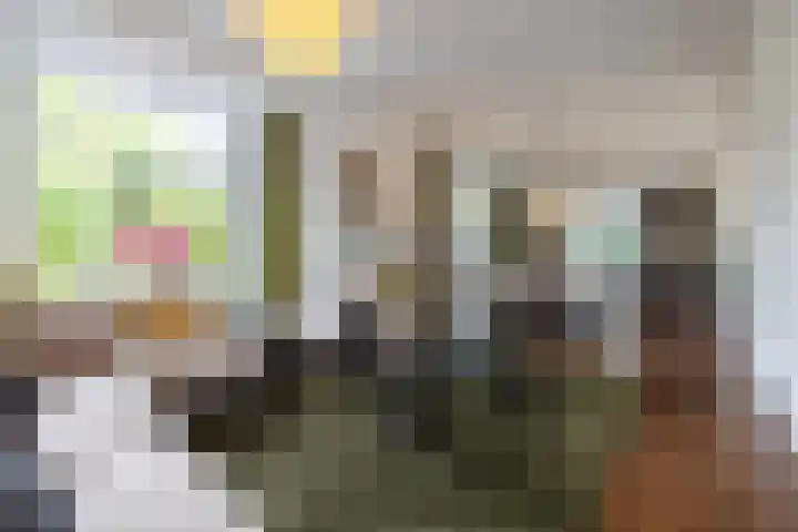 Loolaan 36 Doetinchem thumbnail 6