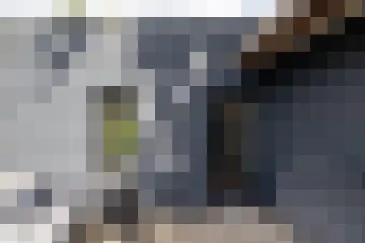 Loolaan 36 Doetinchem thumbnail 69
