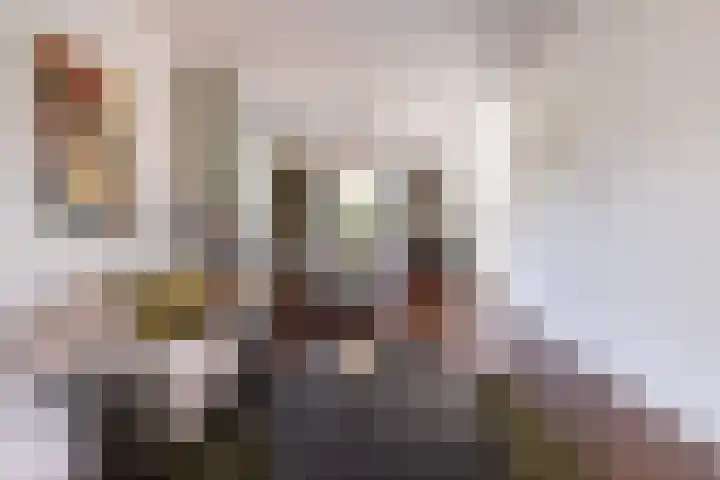 Loolaan 36 Doetinchem thumbnail 8