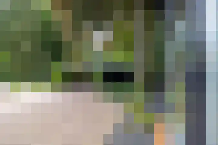 Loolaan 36 Doetinchem thumbnail 85