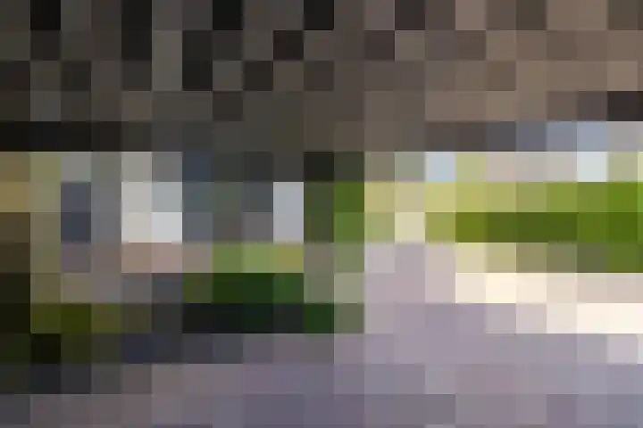 Loolaan 36 Doetinchem thumbnail 87
