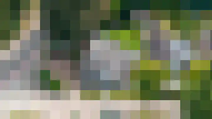 Loolaan 36 Doetinchem thumbnail 95