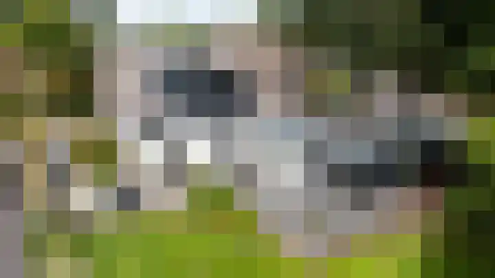 Loolaan 36 Doetinchem thumbnail 96