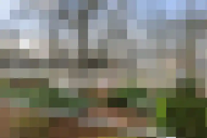 Loolaan 368 Apeldoorn thumbnail 16