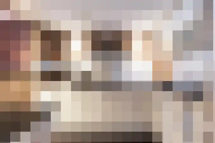 Loolaan 368 Apeldoorn thumbnail 17