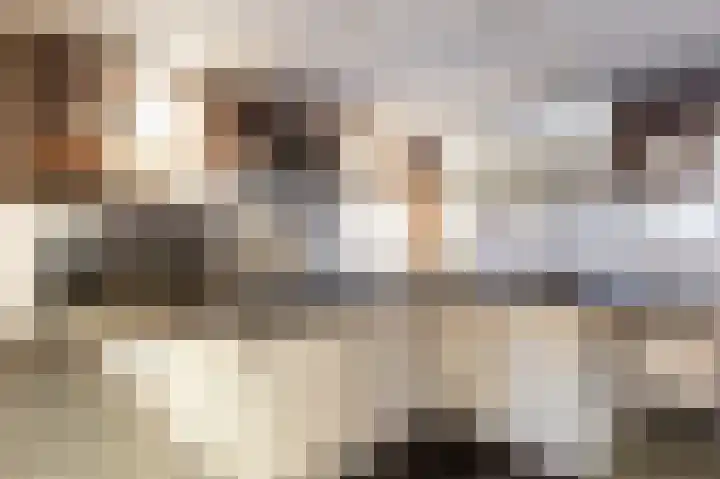 Loolaan 368 Apeldoorn thumbnail 18