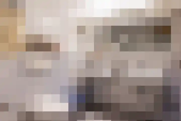 Loolaan 368 Apeldoorn thumbnail 21