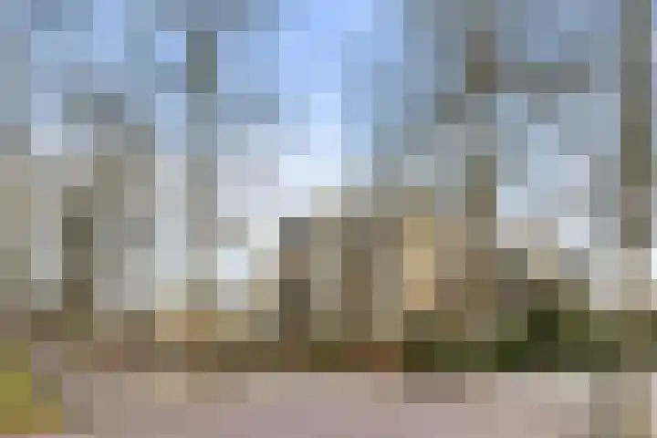 Loolaan 368 Apeldoorn thumbnail 30