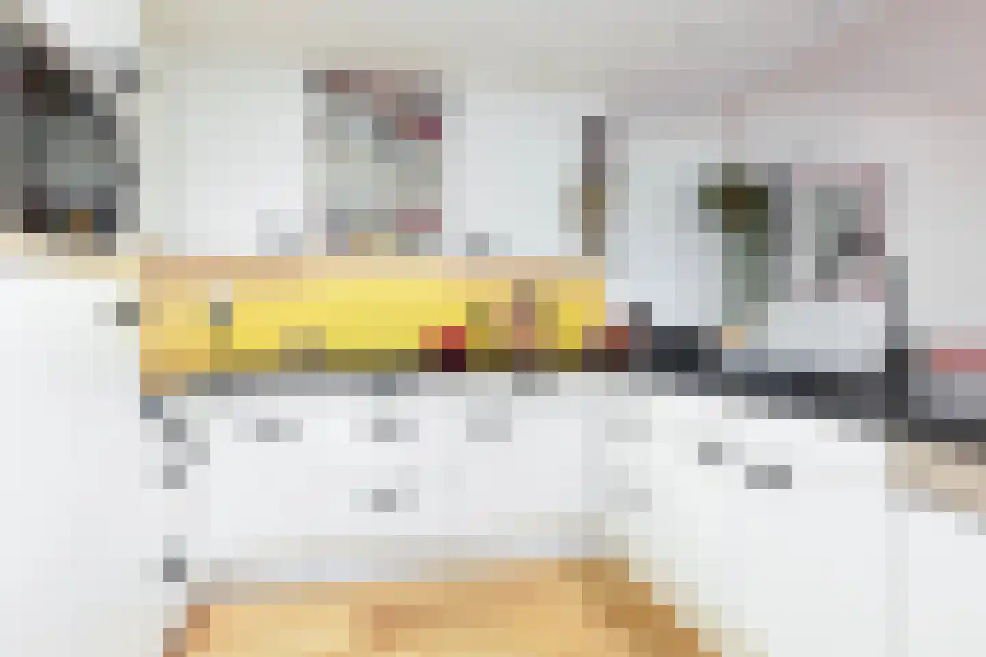 Loolaan 370 Apeldoorn thumbnail 16