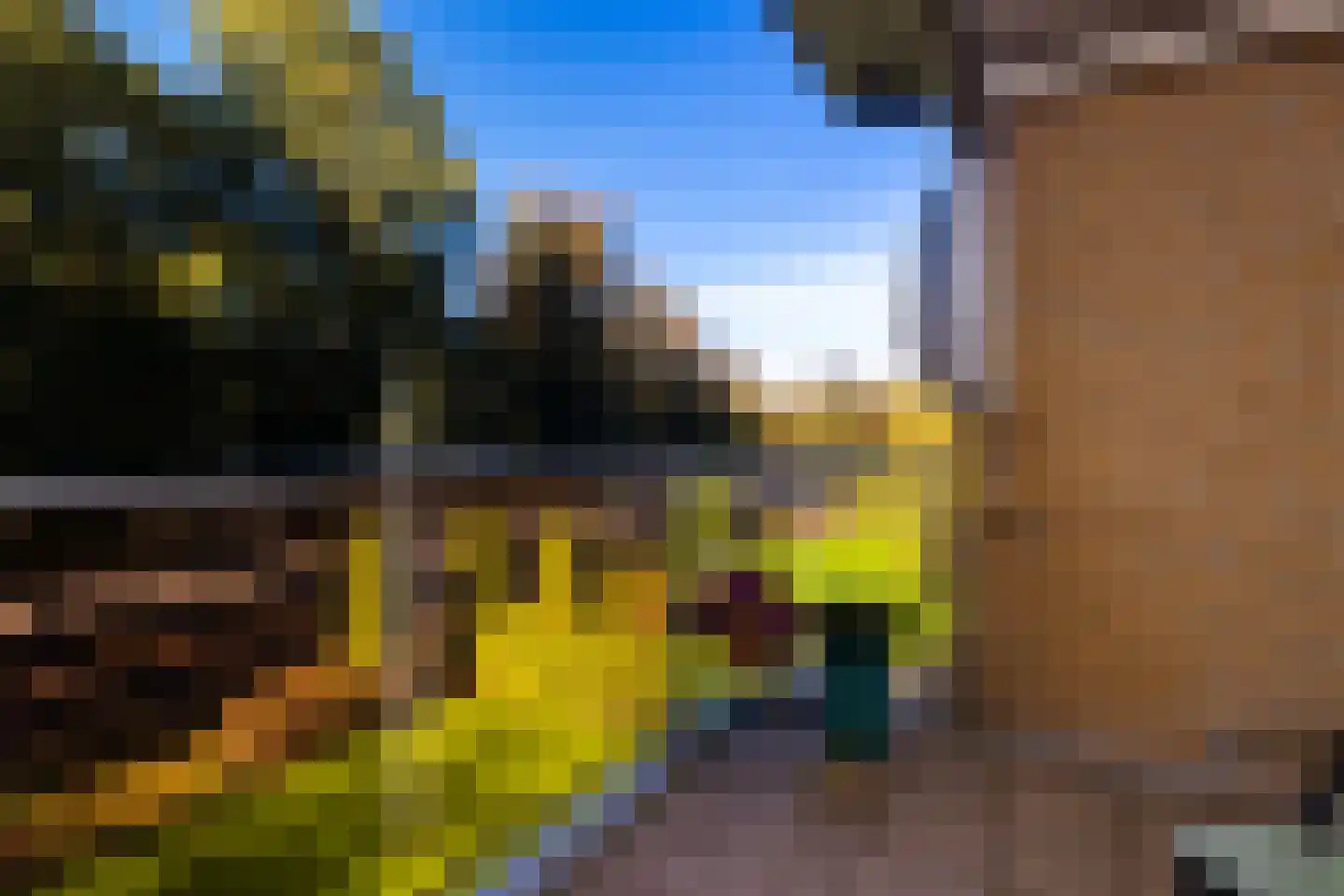 Loolaan 370 Apeldoorn thumbnail 22