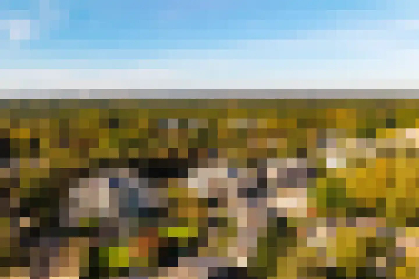 Loolaan 370 Apeldoorn thumbnail 24