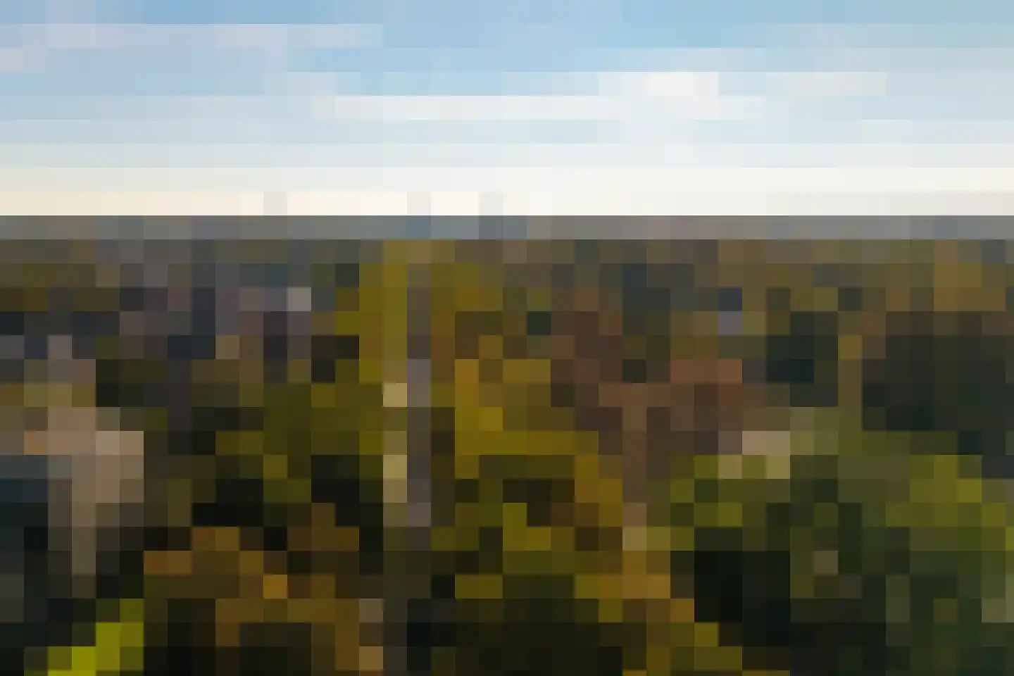 Loolaan 370 Apeldoorn thumbnail 25