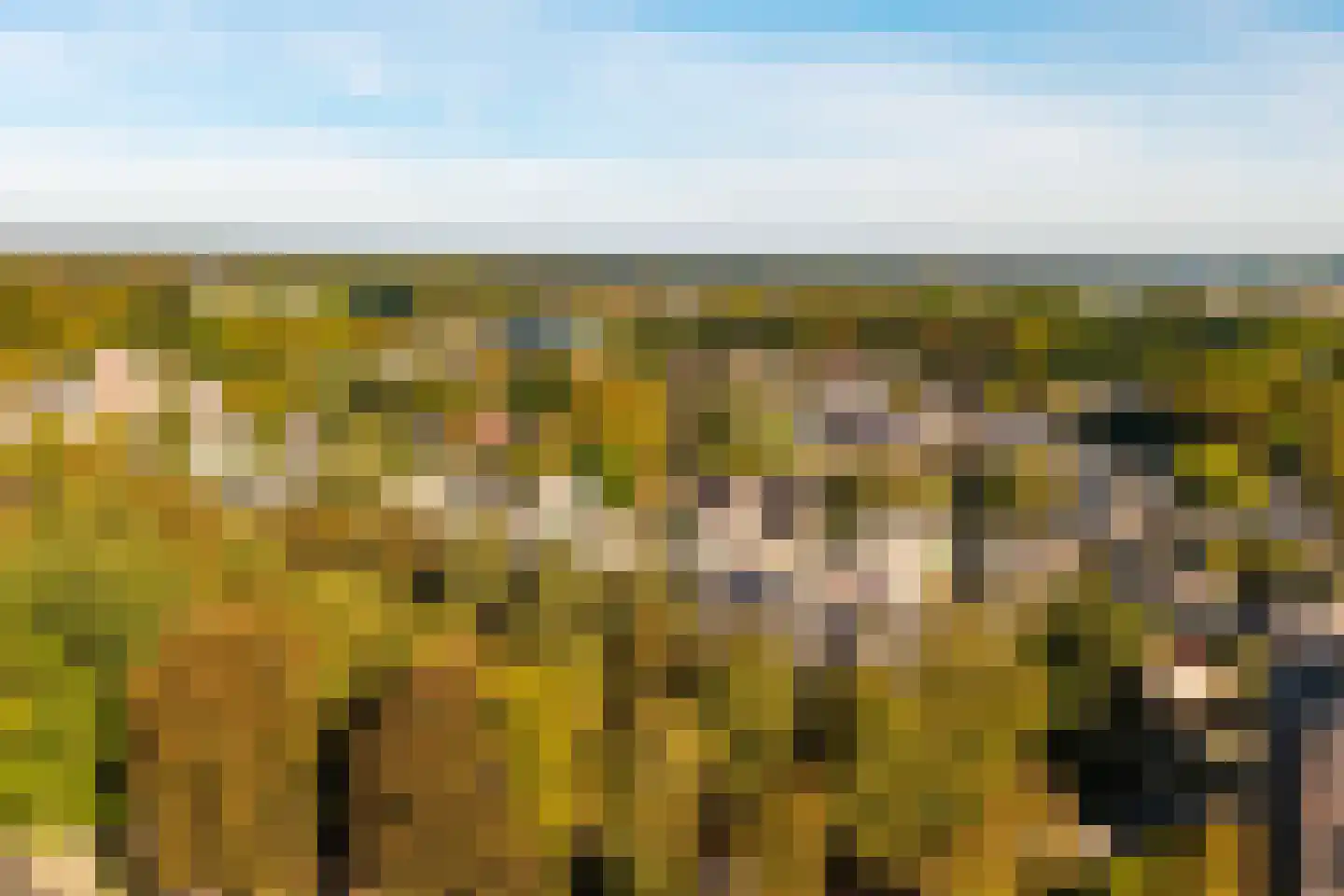 Loolaan 370 Apeldoorn thumbnail 26