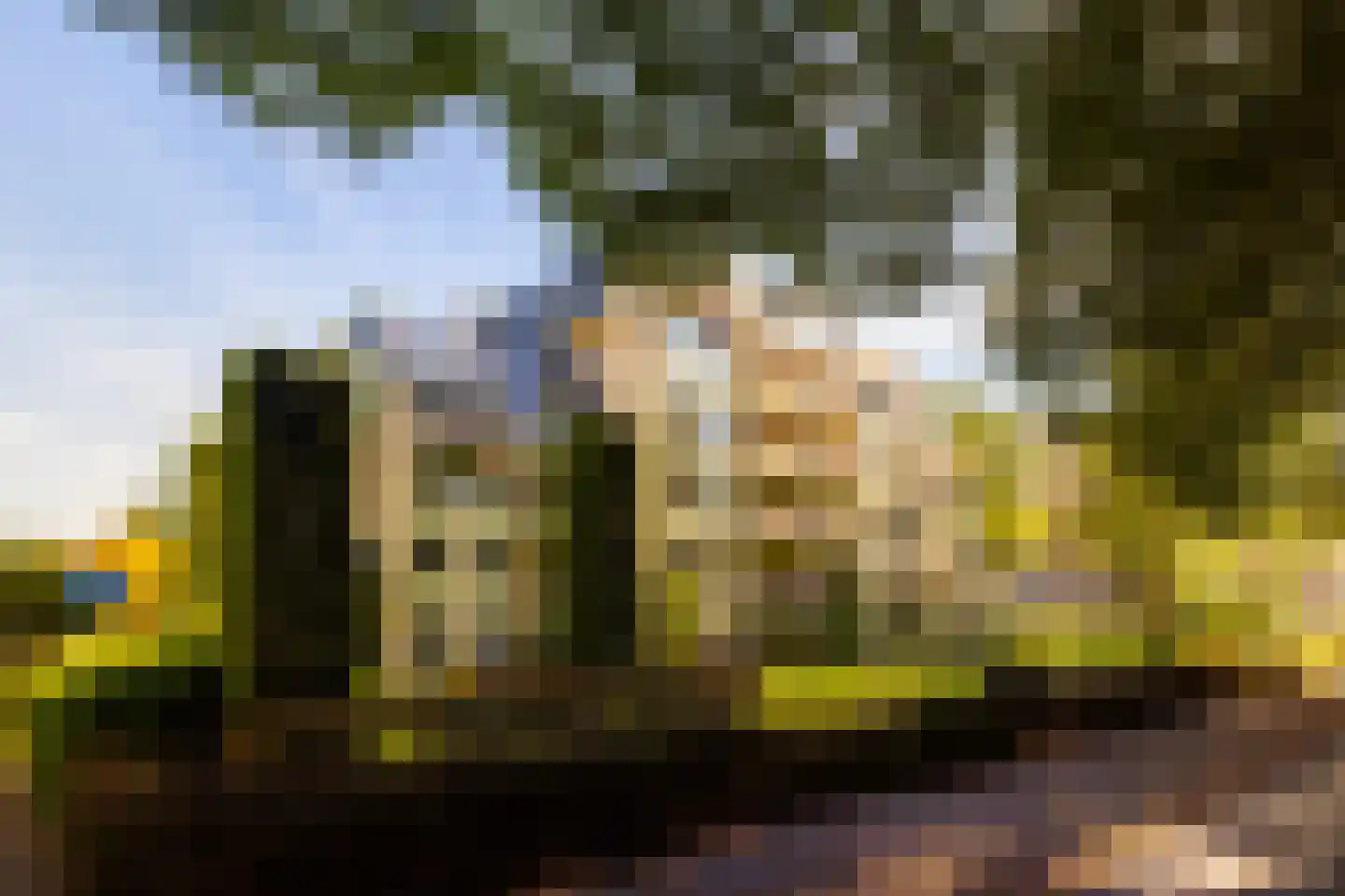 Loolaan 370 Apeldoorn thumbnail 27